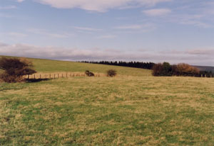 View over the fields