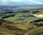 Weardale realtors durham england uk
