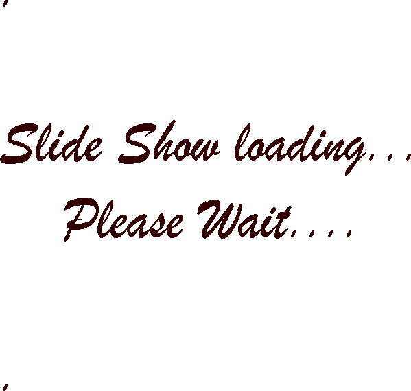 Please Wait - Images Loading........